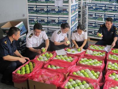 食品水果进口报关查验现场
