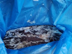  Import customs declaration case of frozen beef (boneless beef tendon)