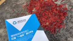  Customs declaration procedures and cases of dried chilli [Suggested collection]