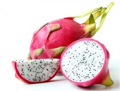  Customs declaration procedures and cases of pitaya fruit import [Recommended collection]