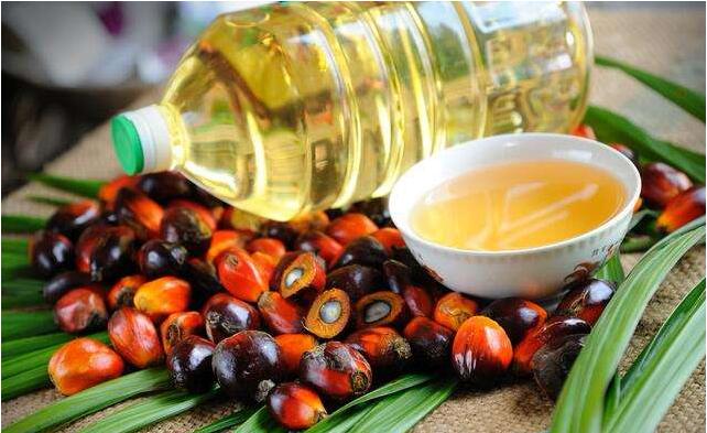 广州棕榈油进口报关手续